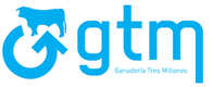GTM